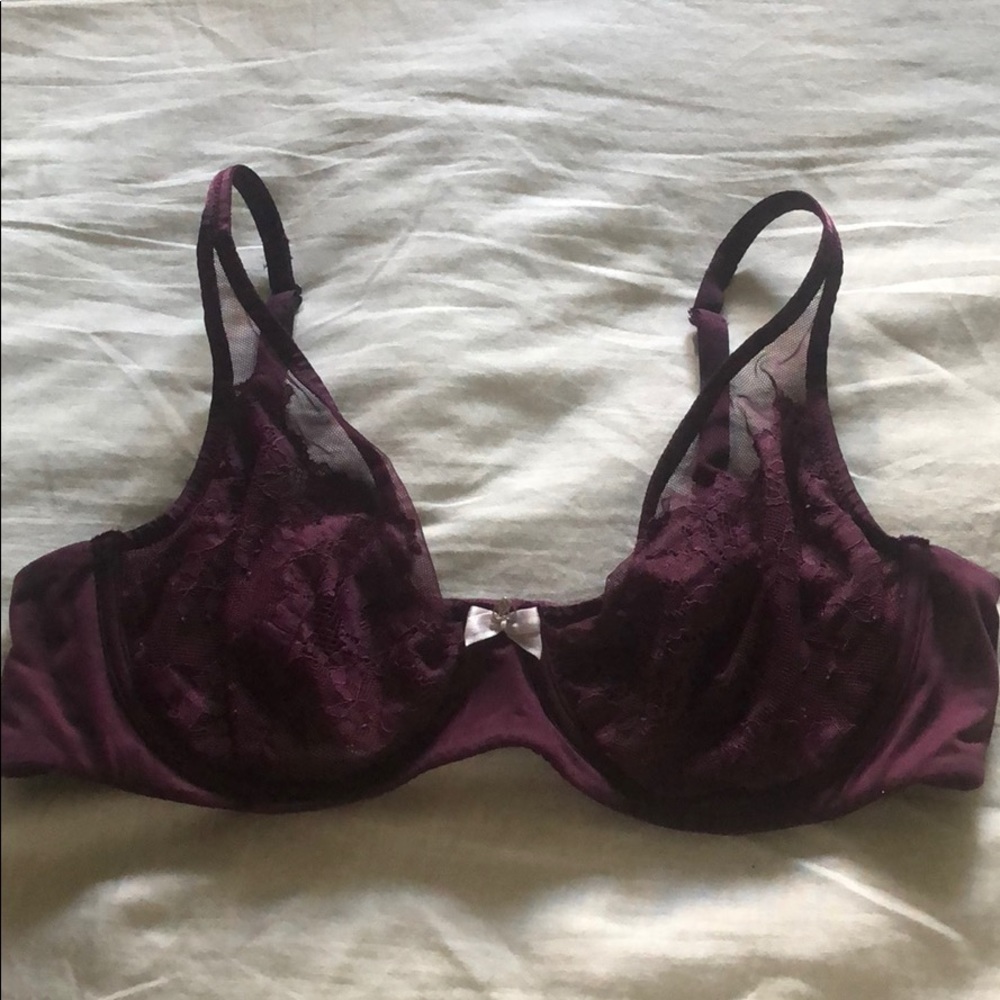 Lace and Mesh Burgundy Wine Plunge Bra